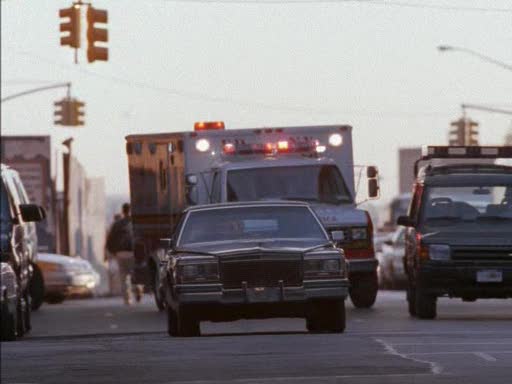 1981 Cadillac Fleetwood Limousine