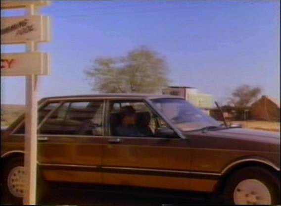 1984 Ford Fairlane [ZL]