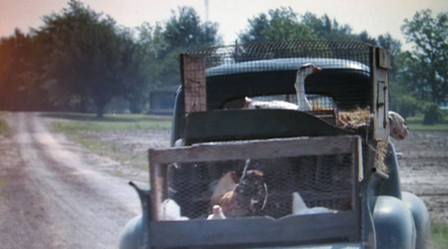 1946 Studebaker Pickup