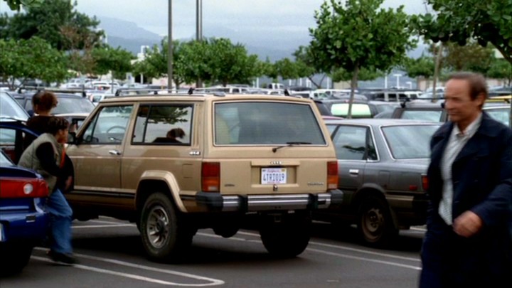 1984 Jeep cherokee pioneer