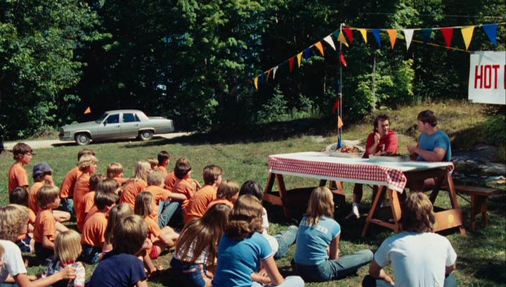 1978 Cadillac Fleetwood Brougham