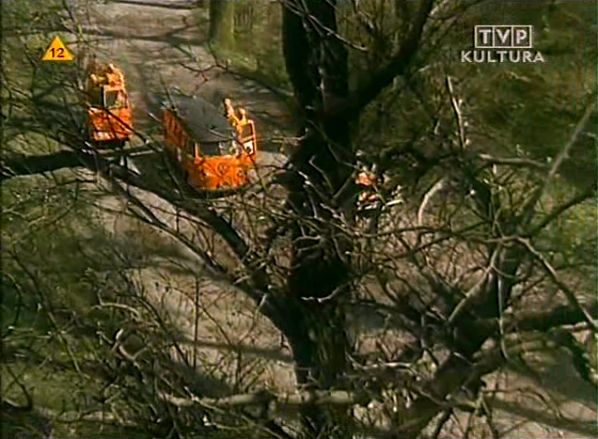 1961 Volkswagen Kombi T1 [Typ 2]