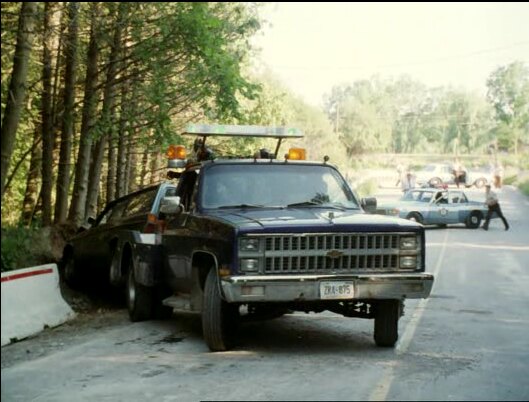 1981 Chevrolet C-30