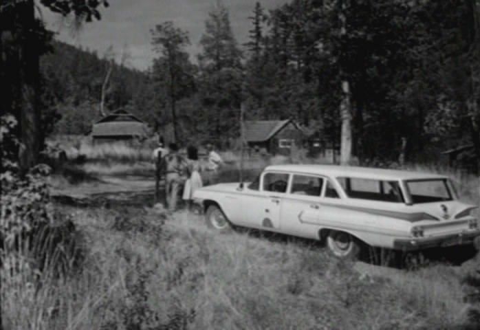 1960 Chevrolet Brookwood Station Wagon [1135]