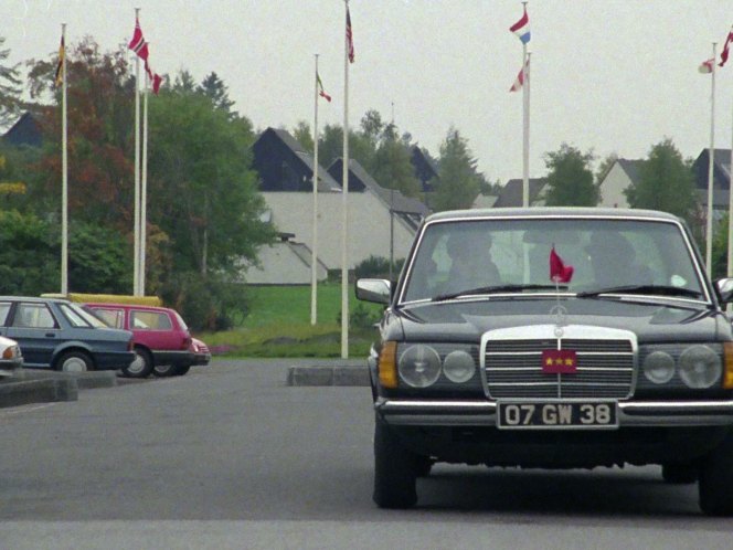 1978 Mercedes-Benz Lang [W123]