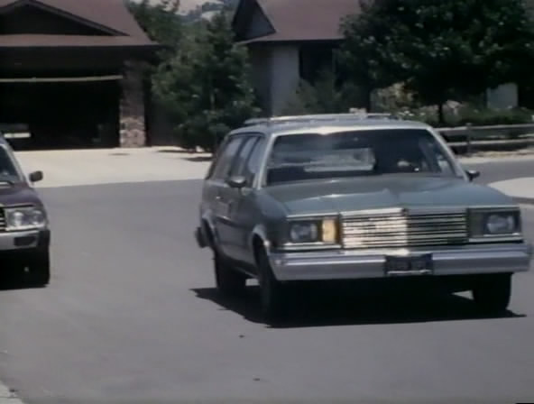 1979 Chevrolet Malibu Wagon Classic Estate