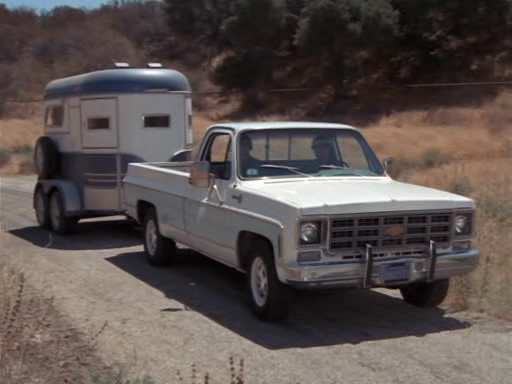 1977 Chevrolet C-20 Cheyenne Fleetside