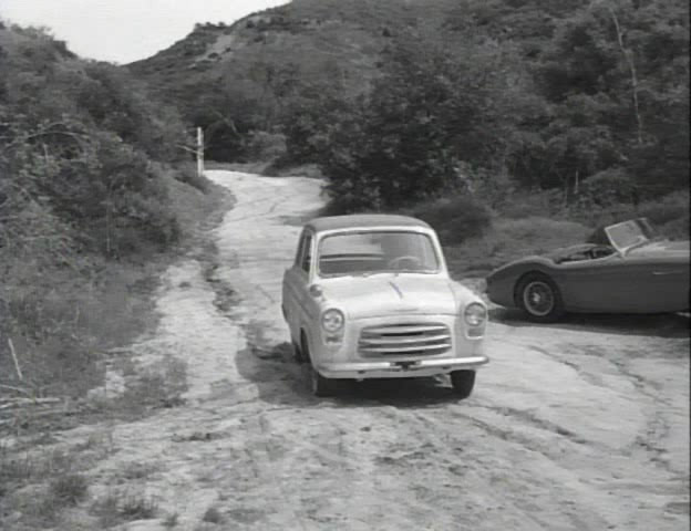 1953 Austin-Healey 100/4 [BN1]