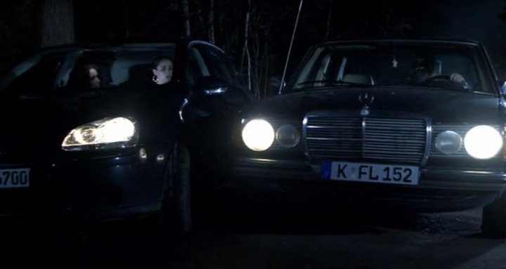 1980 Mercedes-Benz [W123]