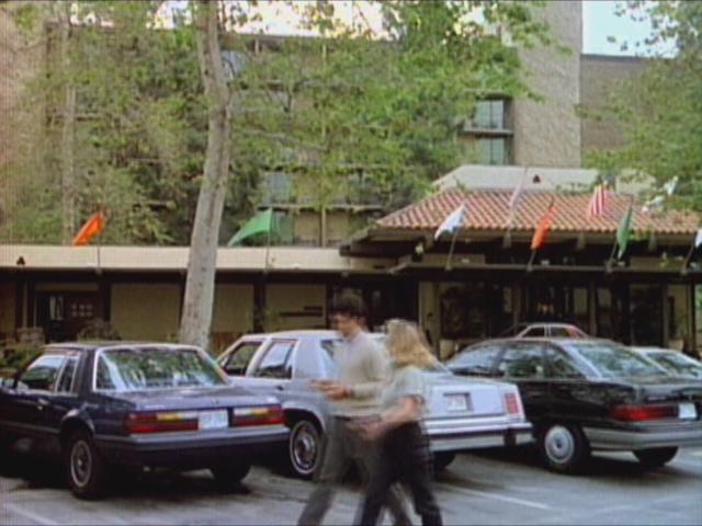 1986 Mercury Sable [DN5]