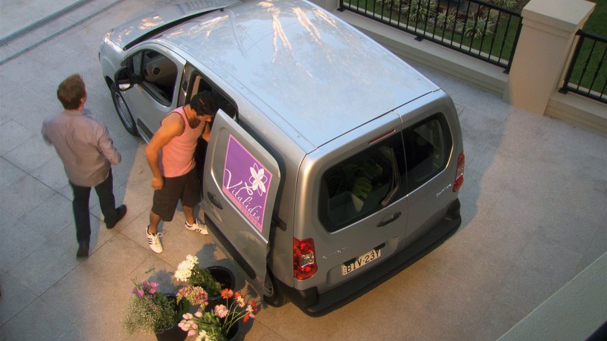 2009 Citroën Berlingo Série 2