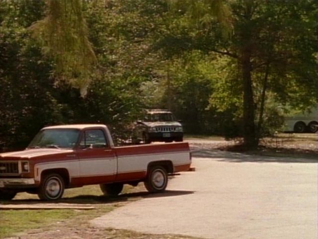 1973 Chevrolet C-10 Cheyenne Fleetside