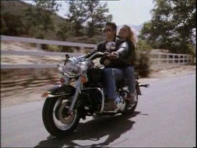 Harley-Davidson Heritage Softail