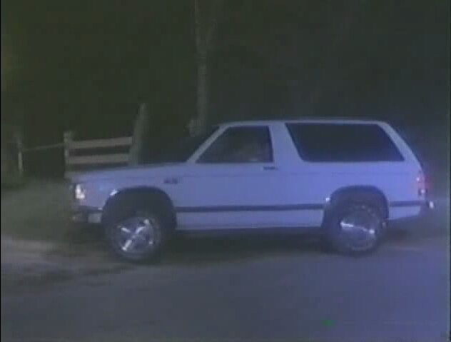 1983 Chevrolet S-10 Blazer [T-10]