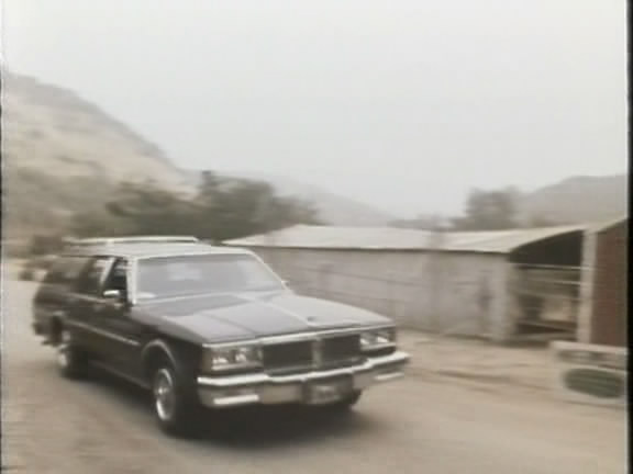 1983 Pontiac Parisienne Safari