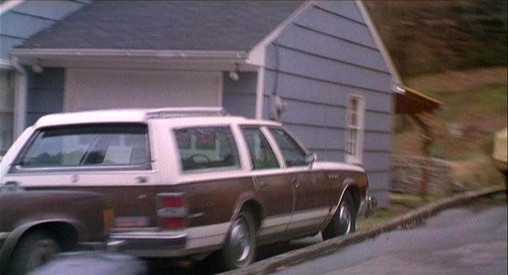 1977 Buick Estate Wagon