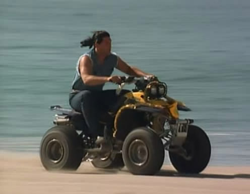 imcdb org yamaha warrior
