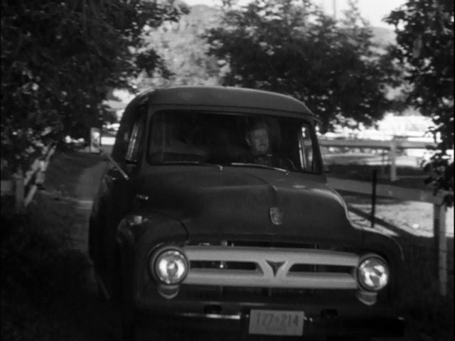 1953 Ford F-100 Panel