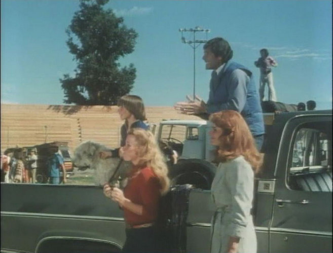 1980 Chevrolet C-Series