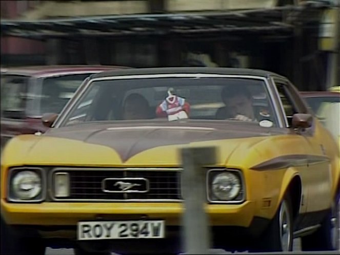 1973 Ford Mustang [65D]