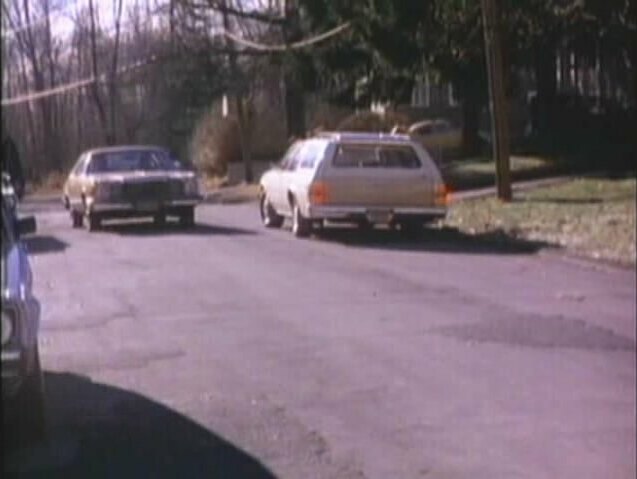 1978 Chevrolet Impala Wagon