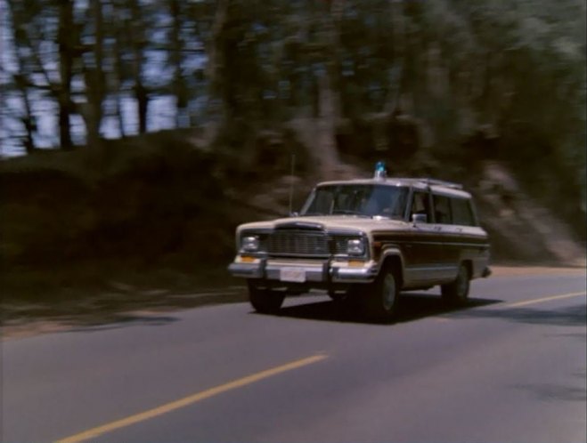 1979 Jeep Wagoneer Limited [SJ]