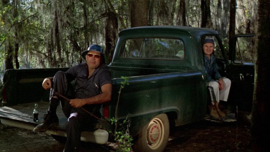 1966 Ford F-100