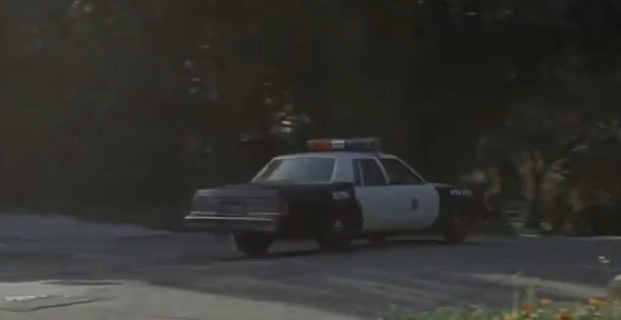1979 Dodge St. Regis