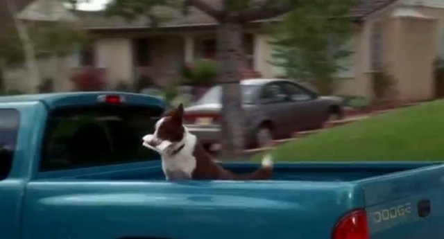 1997 Dodge Dakota Club Cab [AN]