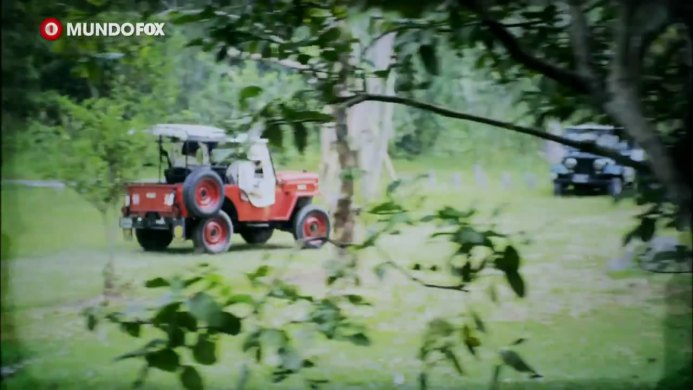 1953 Willys Jeep CJ-3B