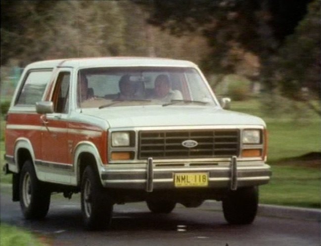 1982 Ford Bronco [U15]