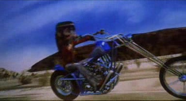 Harley-Davidson Custom Chopper