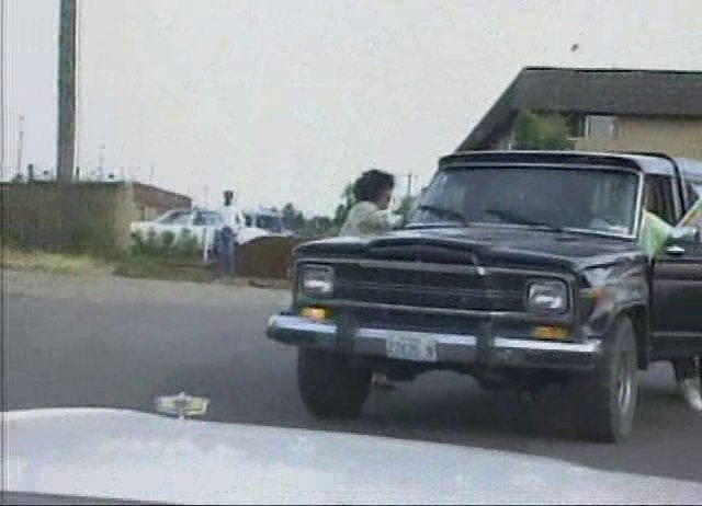 1979 Jeep Pickup Townside [J-10]