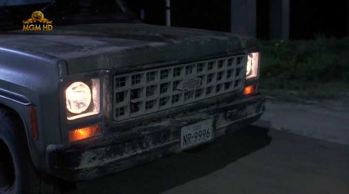 1980 Chevrolet C/K-Series
