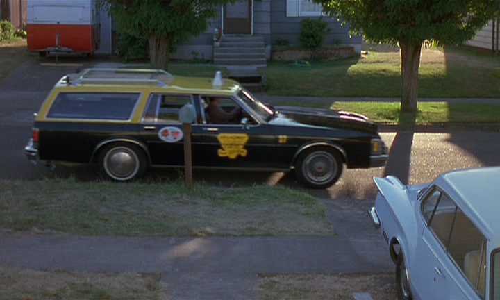 1980 Oldsmobile Custom Cruiser