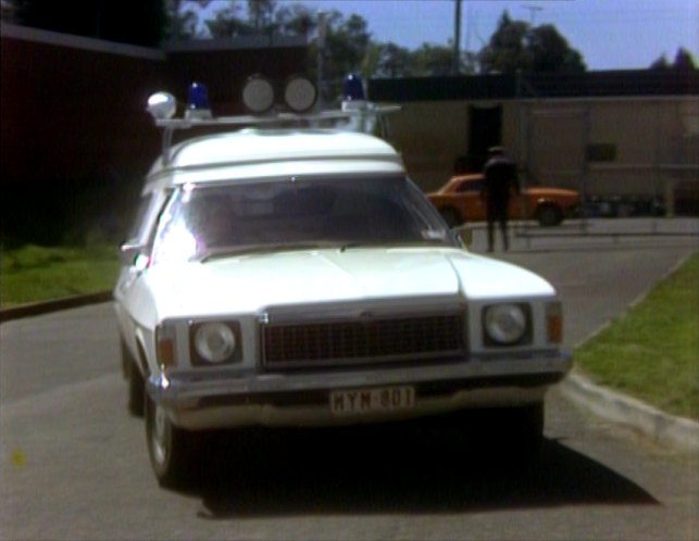 1978 Holden Panel Van [HZ]