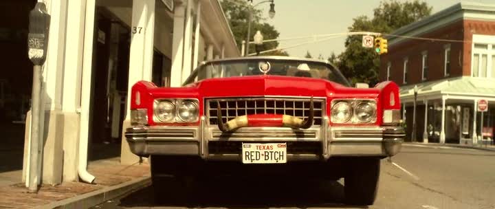 The Red Bitch