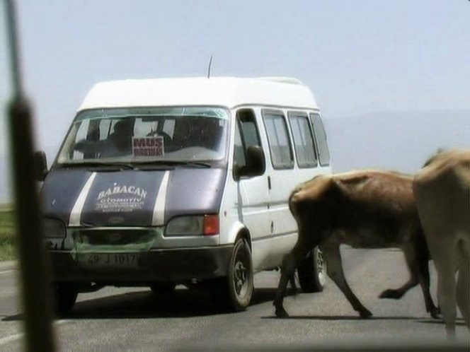 1995 Ford Transit MkIII