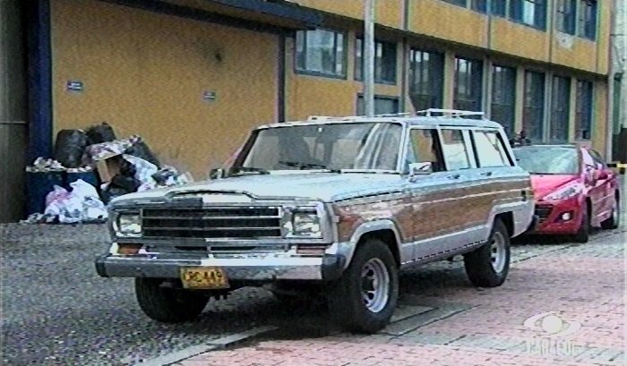 1986 Jeep Grand Wagoneer [SJ]