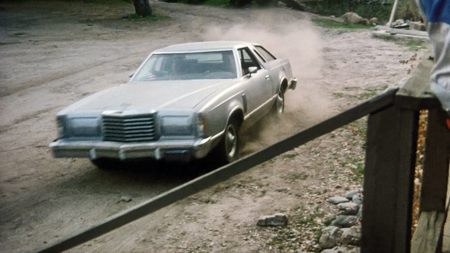 1977 Ford Thunderbird [87-60H]
