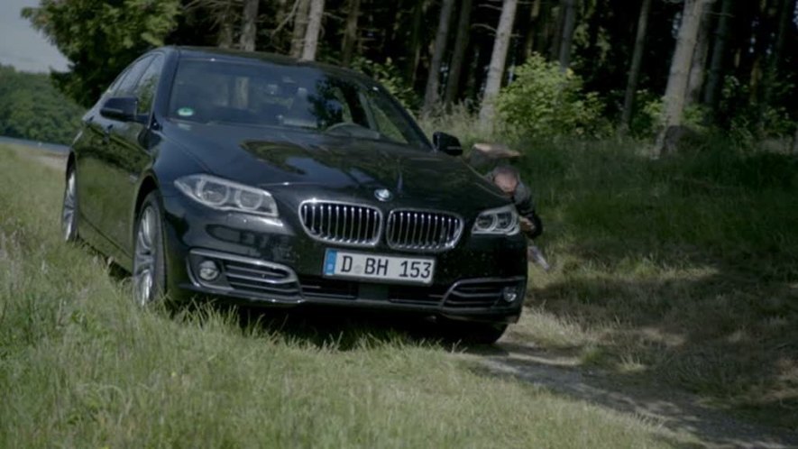 2014 BMW 5 Luxury Line [F10]
