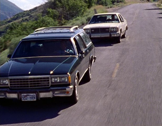 1981 Chevrolet Caprice Classic Station Wagon