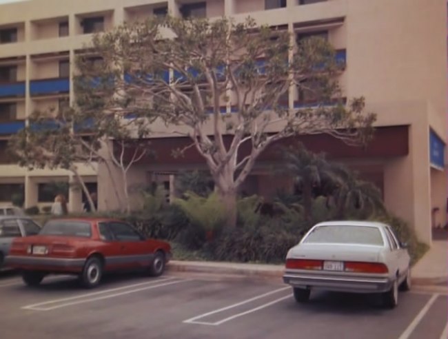 1986 Ford Tempo