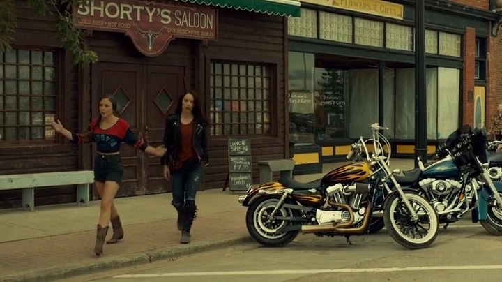 Harley-Davidson XL 1200 C Sportster Custom