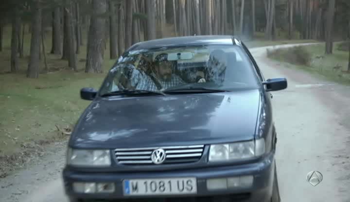 1994 Volkswagen Passat 1.9 TDI GL B4 [Typ 3A]