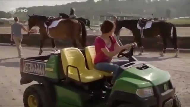 John Deere Gator CX