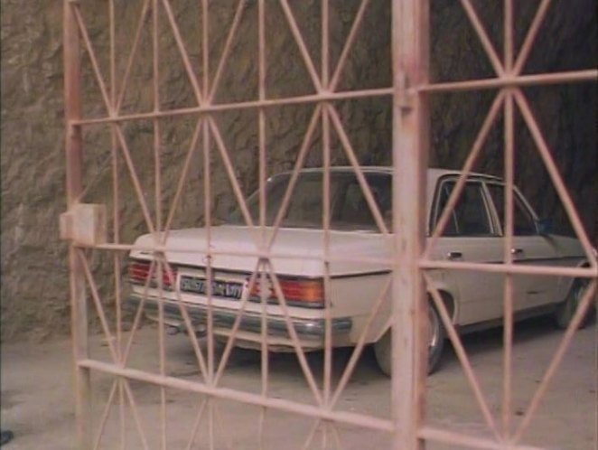 Mercedes-Benz [W123]