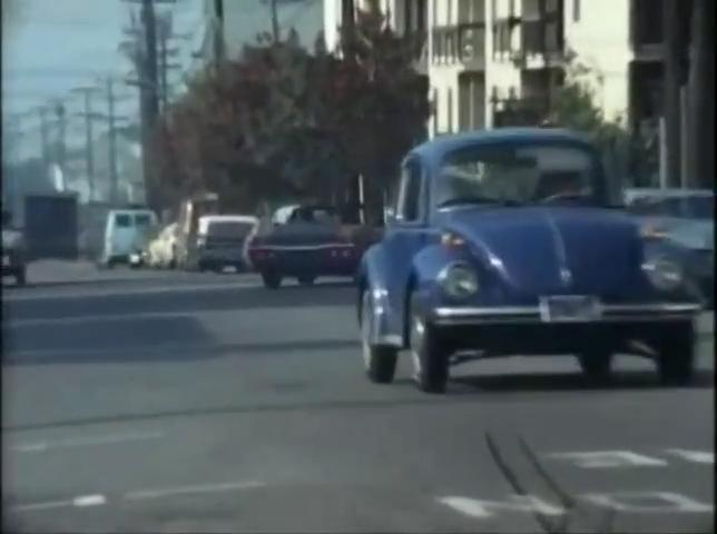 1973 Volkswagen Super Beetle [Typ 1]