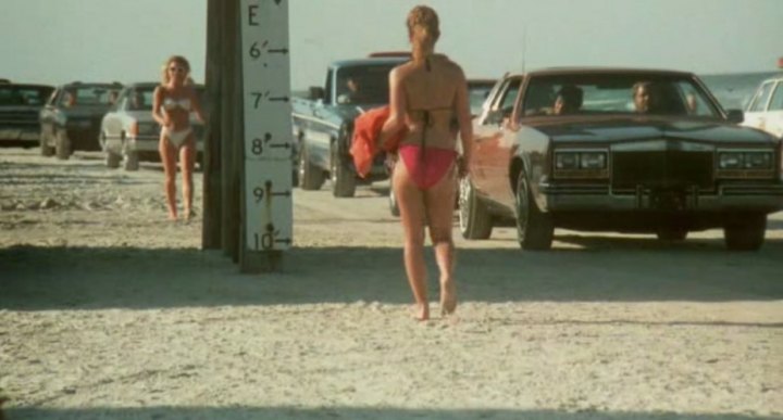 1981 Cadillac Eldorado