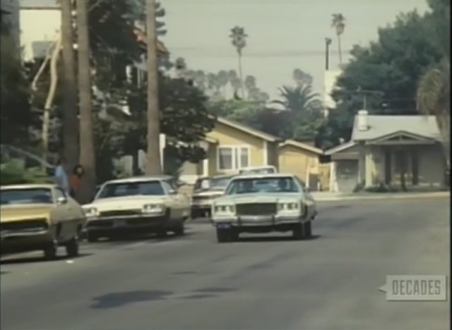 1973 Buick Electra 225
